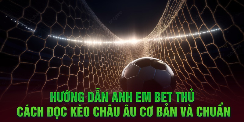 Hướng dẫn anh em bet thủ cách đọc kèo châu Âu cơ bản và chuẩn