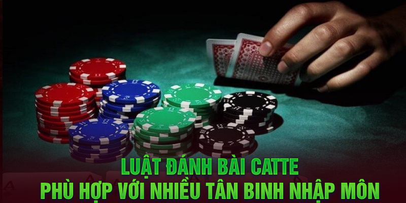 Luật đánh bài Catte phù hợp với nhiều tân binh nhập môn 