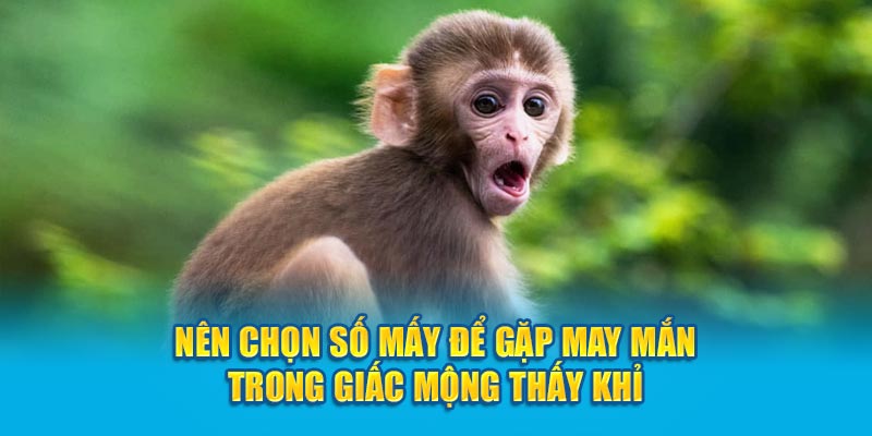 Nên chọn số mấy để gặp may mắn trong giấc mộng thấy khỉ