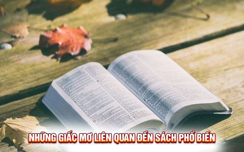 Bí Ẩn Giấc Mơ Sách: Giải Mã Những Điều Không Ngờ Đến