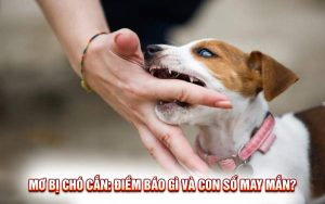 Mơ Bị Chó Cắn: Điềm Báo Gì Và Con Số May Mắn?