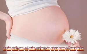 Bí Ẩn Giấc Mơ Có Bầu: Điềm Báo Gì Và Con Số May Mắn