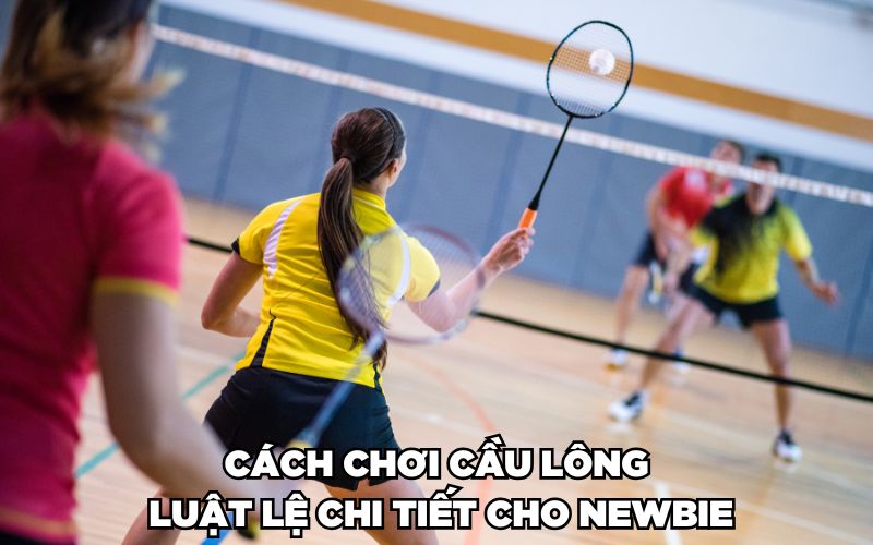 Cách Chơi Cầu Lông Cơ Bản, Chuẩn Không Cần Chỉnh Cho Newbie